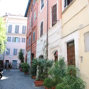 Cedro 28 Roma